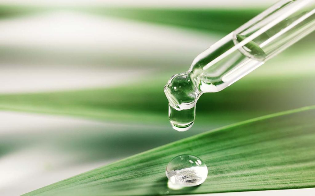 Show drops of hyaluronic acid on a plant leaf