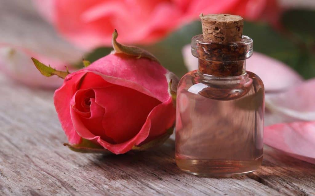 Photo showing a rose and a bottle of rose face oil made from rose petals.